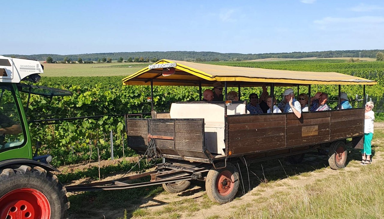 Weingut Schloss Rattey, © Weingut Schloss Rattey | Inselmühle Usedom GmbH Weingut Schloss Rattey, © Weingut Schloss Rattey | Inselmühle Usedom GmbH