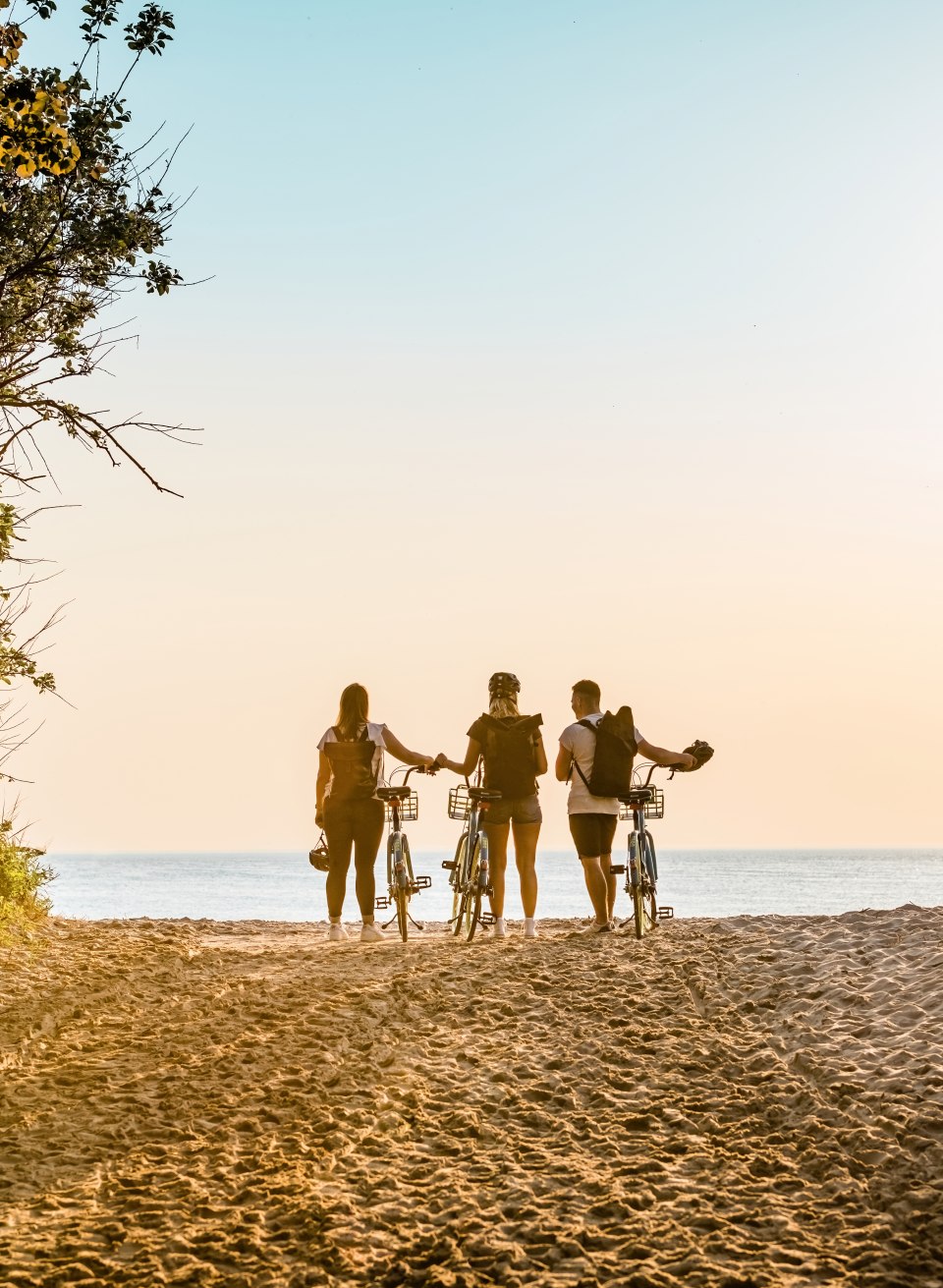 Was f&uuml;r ein Entr&eacute;e! Schon der Weg zum Strand von Torfbr&uuml;cke macht richtig Laune., &copy; TMV/Tiemann