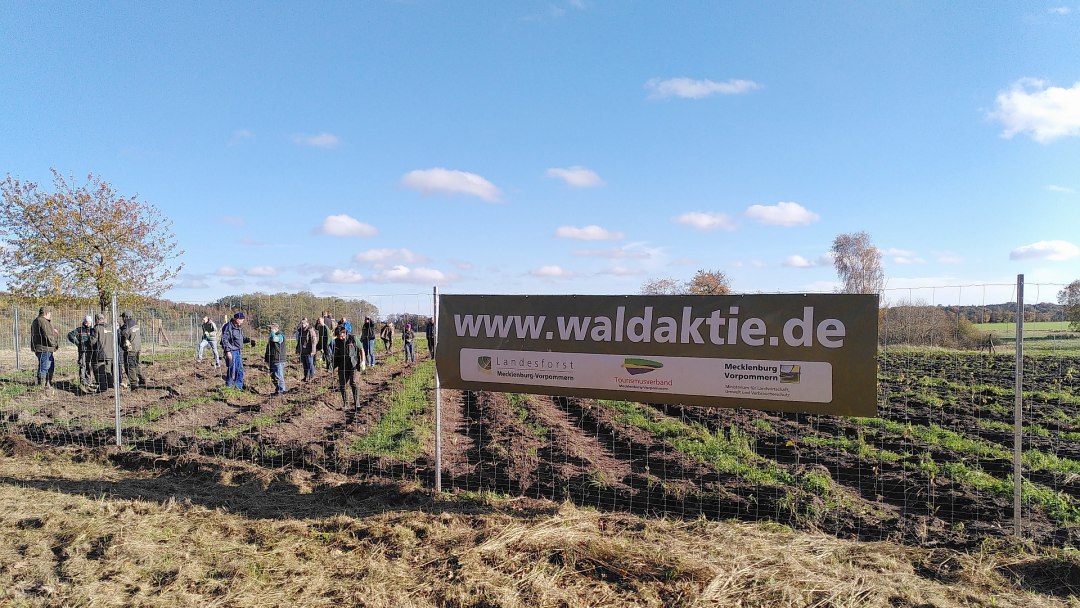 Ein Klimawald auf Rügen entsteht, © Johanna Köhnlein