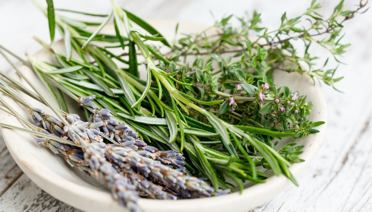 Kr&auml;uterwanderung mit Herrn Warnick, &copy; herbs-2523119_1920.jpg