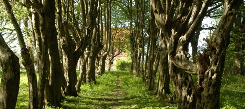 Waldpark Hessenburg // © Hessenburg Waldpark Hessenburg // © Hessenburg