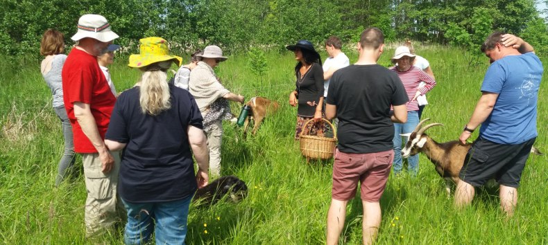 &copy; Martin Hagemann