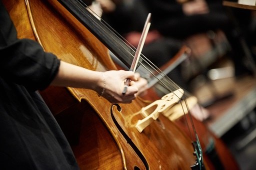 Abbildung eines Kontrabass // © hmt Rostock Abbildung eines Kontrabass // © hmt Rostock