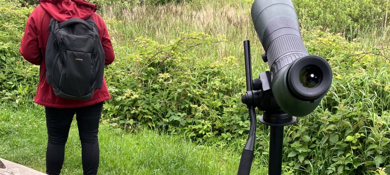 © Nationalpark-Zentrum KÖNIGSSTUHL © Nationalpark-Zentrum KÖNIGSSTUHL