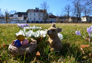 &copy; Kurverwaltung Feldberger Seenlandschaft