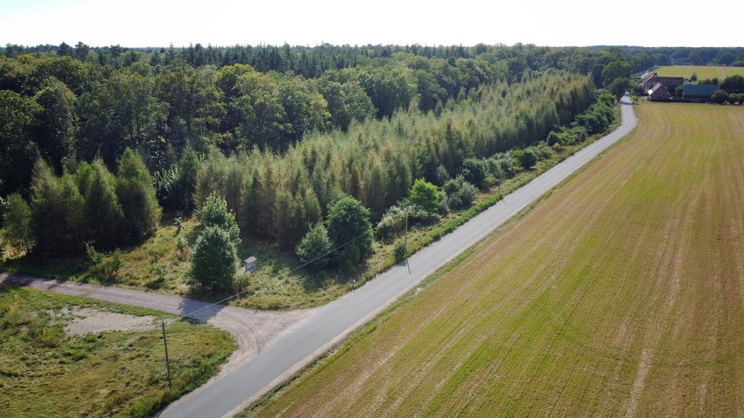 DJI_0836-klein, © Landesforst MV DJI_0836-klein, © Landesforst MV