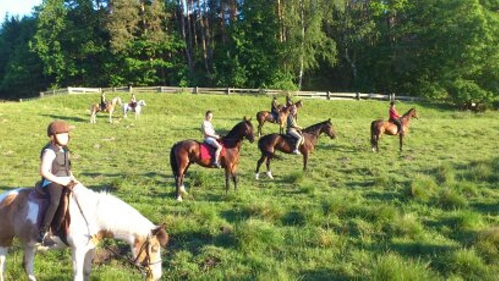 Mit dem Verein MP Horse Stables Dobbertin einen Wanderritt in der Gruppe genießen // © MP Horse Stables Dobbertin/ Maria Michaelis Mit dem Verein MP Horse Stables Dobbertin einen Wanderritt in der Gruppe genießen // © MP Horse Stables Dobbertin/ Maria Michaelis