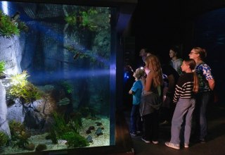 Im Schein der Taschenlampe erkunden die Gäste das OZEANEUM bei Dunkelheit // © Anke Neumeister/Deutsches Meeresmuseum Im Schein der Taschenlampe erkunden die Gäste das OZEANEUM bei Dunkelheit // © Anke Neumeister/Deutsches Meeresmuseum