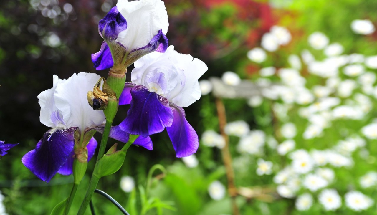 Ontdek de natuur van West-Pommeren, © Tourismusverband Vorpommern e.V. Ontdek de natuur van West-Pommeren, © Tourismusverband Vorpommern e.V.