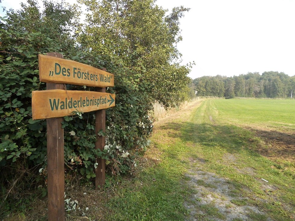 Hinweisschild zum Walderlebnispfad Ummanz // © Tourismuszentrale Rügen Hinweisschild zum Walderlebnispfad Ummanz // © Tourismuszentrale Rügen