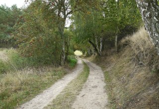 Landschaft bei Langen Brütz, © Naturpark Sternberger Seenland