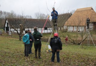 Teilnehmer des Kurses schneiden in kleinen Gruppen nach der nachhaltigen &Ouml;schbergmethode., &copy; Fred-Ingo Pahl