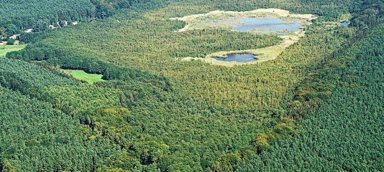 Naturschutzgebiet Wockninsee // &copy; Fotoarchiv Naturpark Insel Usedom