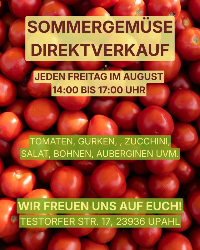 Sommergemüse Direktverkauf // © Lebendiger Landbau Sommergemüse Direktverkauf // © Lebendiger Landbau