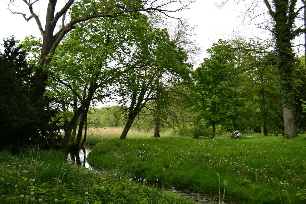 idyllischer Park im englischen Stil // © Stadtmarketingverein Greifswald idyllischer Park im englischen Stil // © Stadtmarketingverein Greifswald