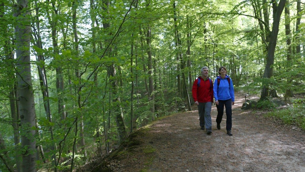 Durch tiefe Wälder führt der Weg entlang der Warnow. // © MV-T/outdoor-visions.com Durch tiefe Wälder führt der Weg entlang der Warnow. // © MV-T/outdoor-visions.com