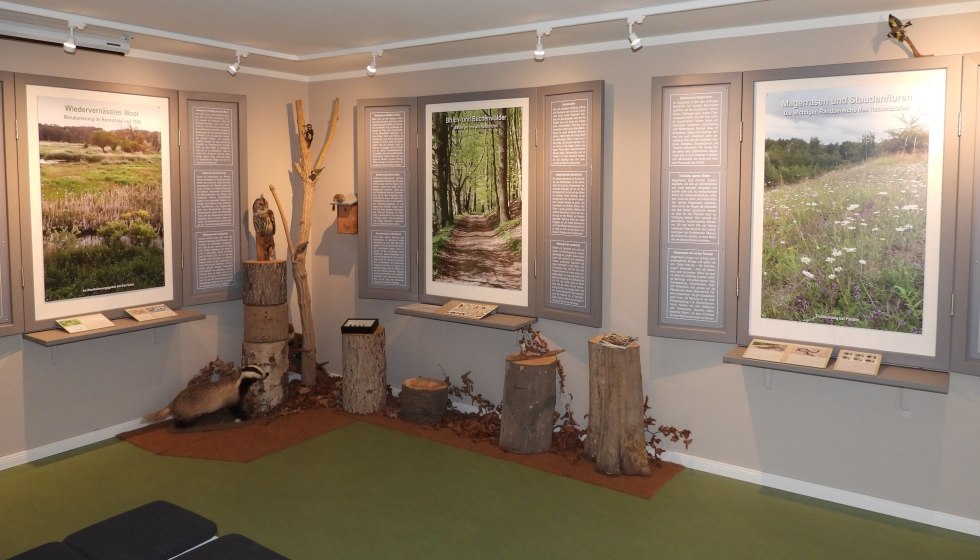 Die Ausstellung informiert auch &uuml;ber die Nutzungsgeschichte der Moorfl&auml;chen und deren Renaturierung. // &copy; Martin Hagemann