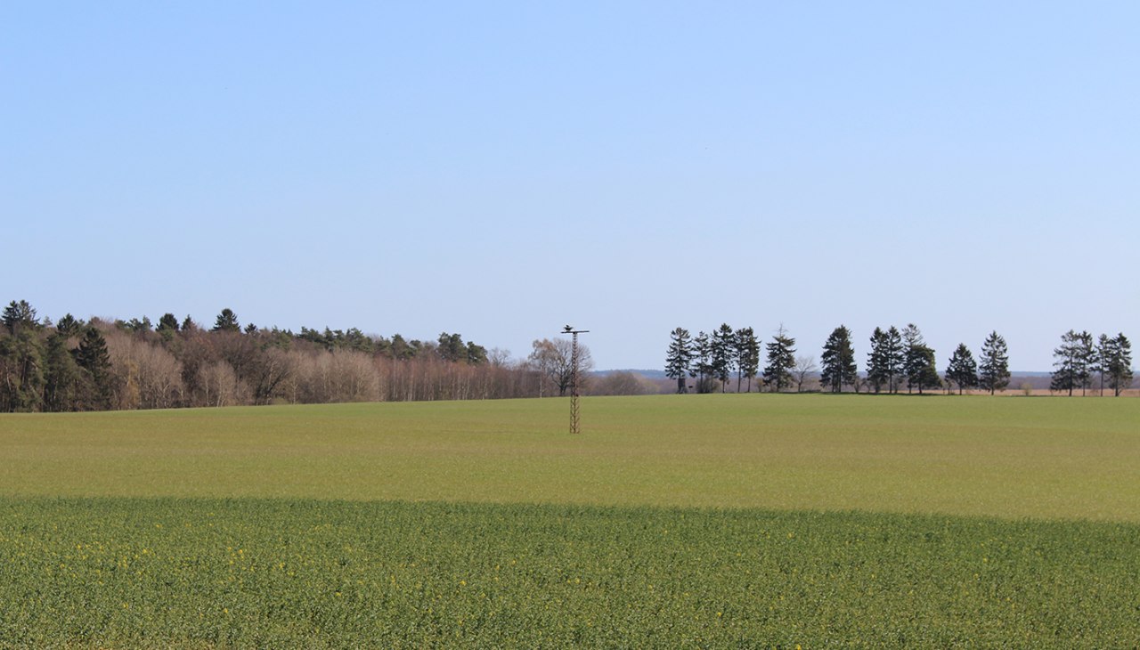 Sicht auf den bewohnten Horst, © Kur- und Tourismus GmbH Göhren-Lebbin Sicht auf den bewohnten Horst, © Kur- und Tourismus GmbH Göhren-Lebbin