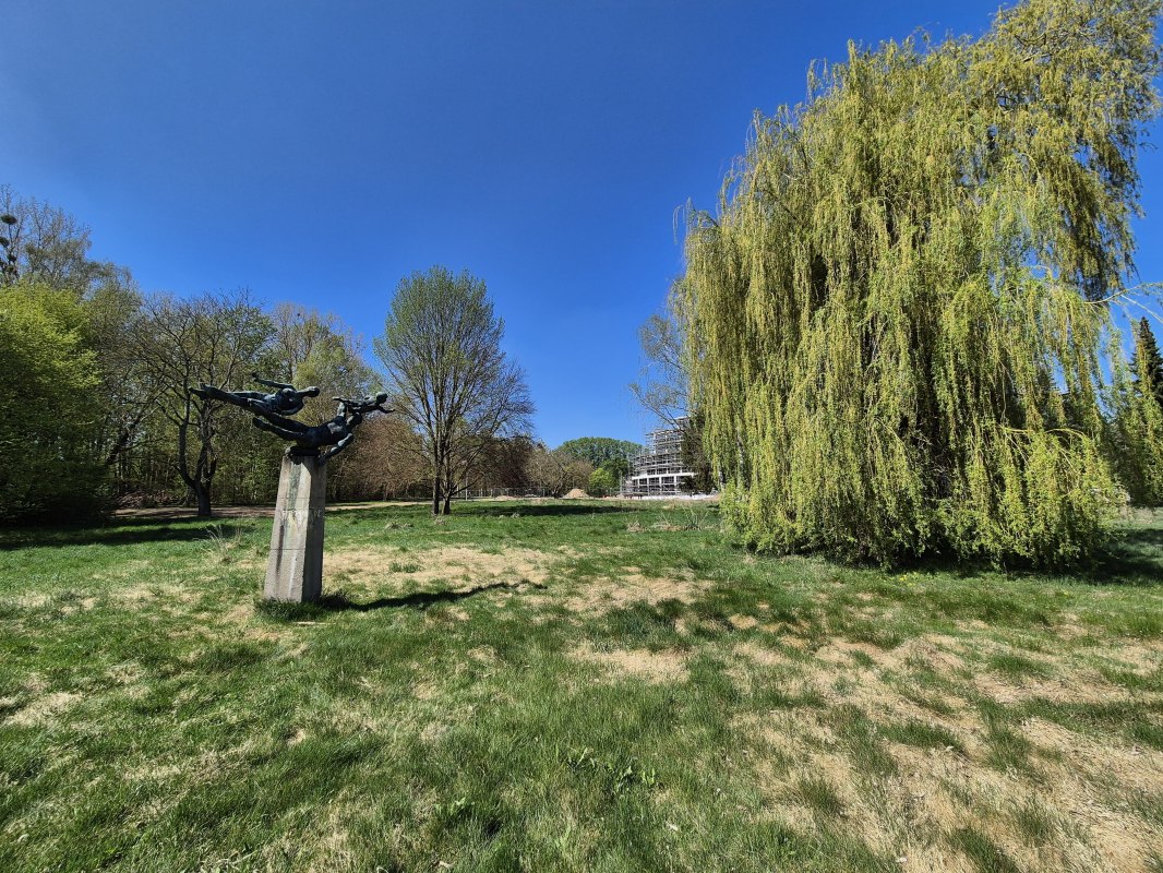 © Gina Schulenberg © Gina Schulenberg