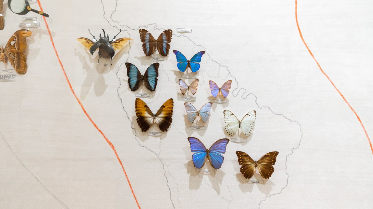 &copy; Moritz Kertzscher