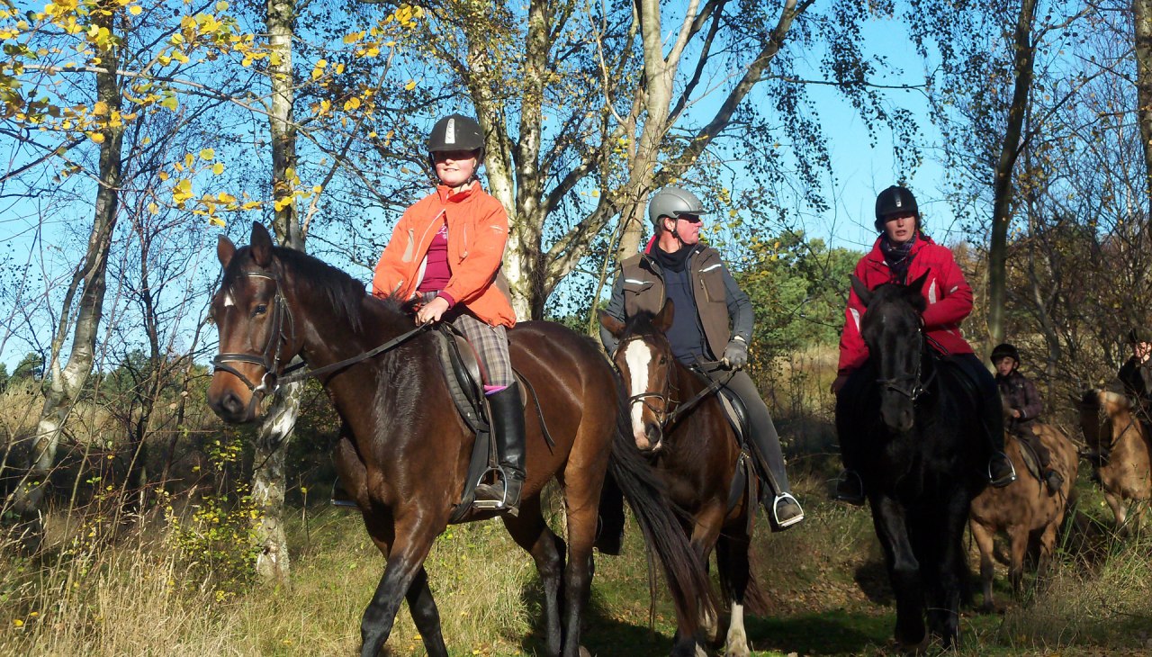 Reiter auf Hiddensee, © Annett Striesow Reiter auf Hiddensee, © Annett Striesow