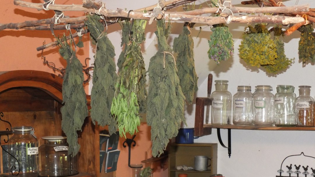 Kräuter werden schonend getrocknet, © M. Hagemann Kräuter werden schonend getrocknet, © M. Hagemann