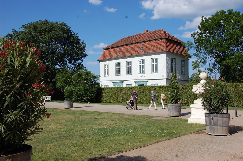 Das Natureum befindet sich hinter dem Schloss. // © Gabriele Skorupski Das Natureum befindet sich hinter dem Schloss. // © Gabriele Skorupski