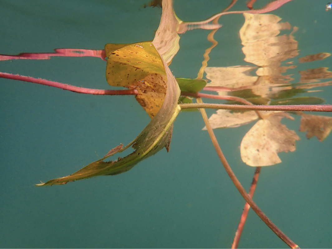 Fotoabzug hinter Acrylglas // &copy; Christiane Jaschek