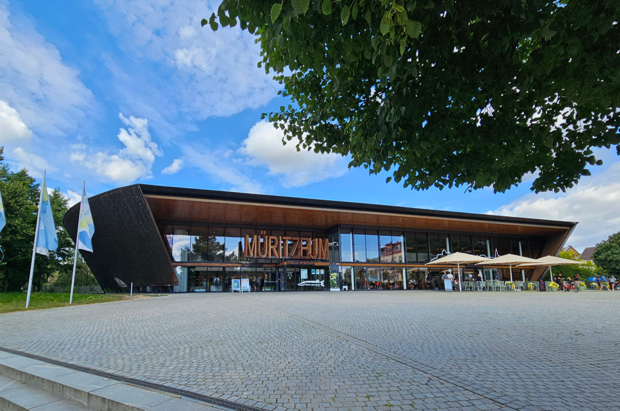 Moderne houten architectuur in het Müritzeum - Ontdek, bewonder en begin de dag in het café aan de oever van het meer. // © MÜRITZEUM Moderne houten architectuur in het Müritzeum - Ontdek, bewonder en begin de dag in het café aan de oever van het meer. // © MÜRITZEUM