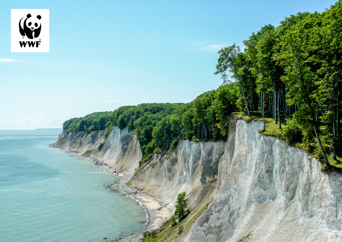 &copy; Nationalpark-Zentrum K&ouml;nigsstuhl