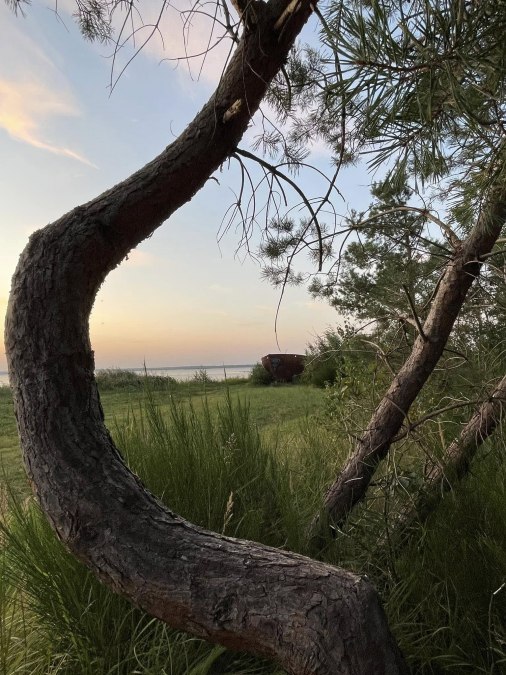 Johanna am Boddenk&uuml;stenwald, &copy; TZ S&uuml;dliche Boddenk&uuml;ste