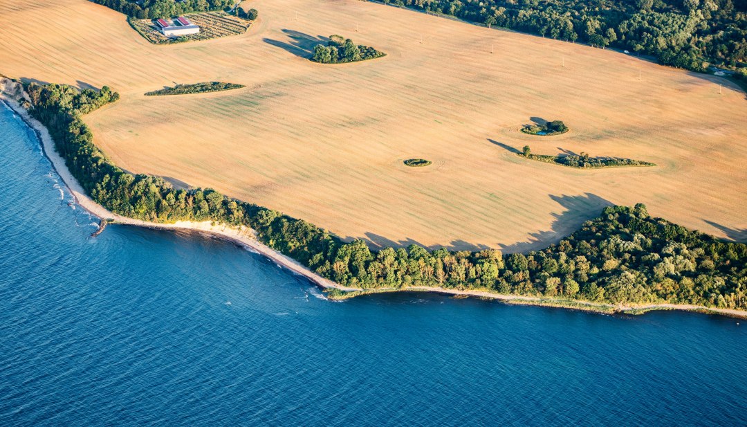 Majestätische Steilküste bei Glowe auf Rügen, wo sich goldene Felder und azurblaues Meer zu einem unvergesslichen Panorama vereinen. Die Weite der Ostsee und die kraftvolle Natur Deutschlands größter Insel inspirieren zu neuen Horizonten., © TMV/Gänsicke Luftaufnahme der Steilküste Rügens bei Glowe zeigt den Kontrast zwischen goldenen Feldern und türkisblauem Meer, umgeben von grünen Wäldern.