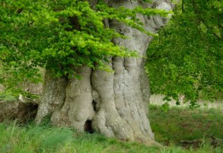 © Evelin Kartheuser © Evelin Kartheuser