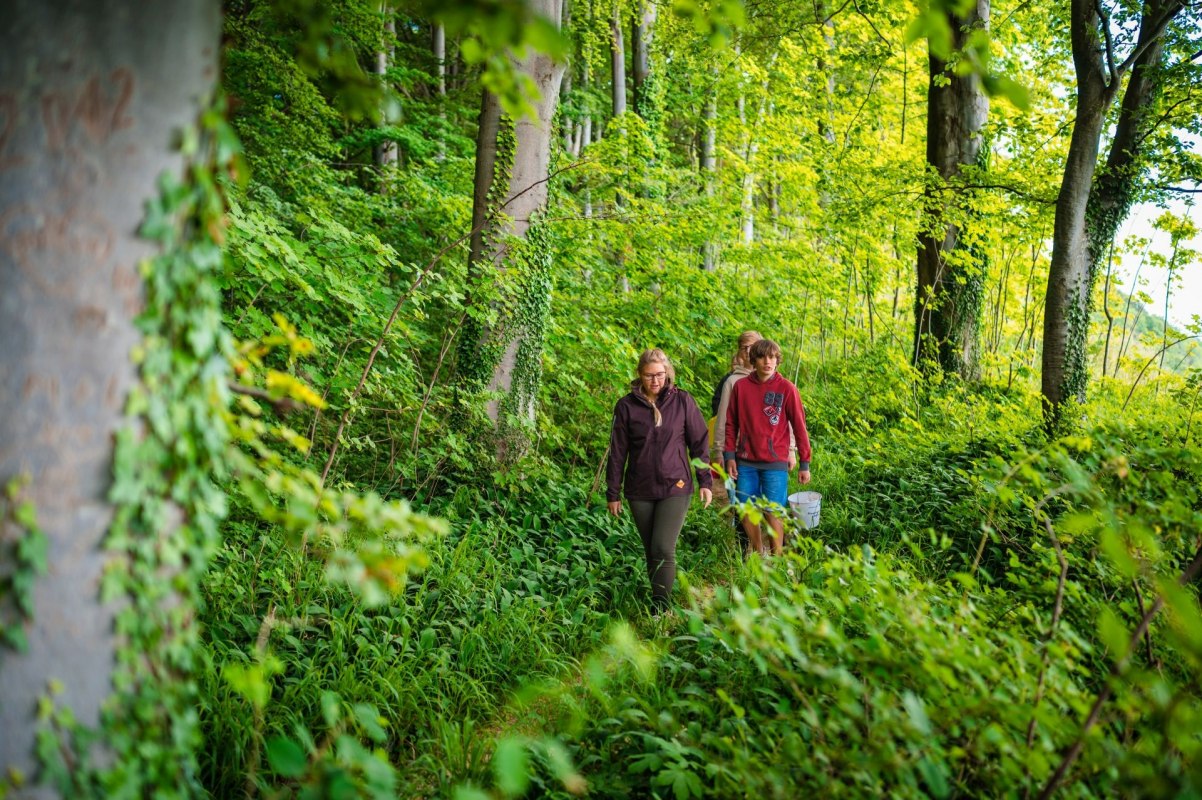 Nordperd (c) TMV Tiemann _165_Ruegen_Goehren_Nordperd_06_21, © TMV Tiemann Nordperd (c) TMV Tiemann _165_Ruegen_Goehren_Nordperd_06_21, © TMV Tiemann