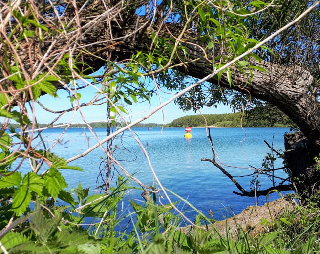 Der Schweriner Innensee // &copy; adfc-Schwerin
