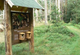 Infotafel des Walderlebnispfades // © Nationalparkamt Müritz Infotafel des Walderlebnispfades // © Nationalparkamt Müritz