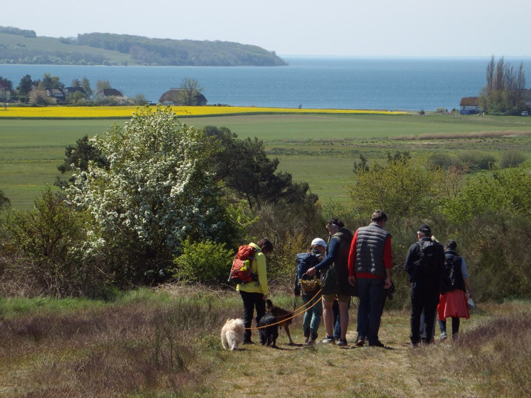 Wanderfrühling: Wildkräuterwanderung, © Matthias Miersch Wanderfrühling: Wildkräuterwanderung, © Matthias Miersch