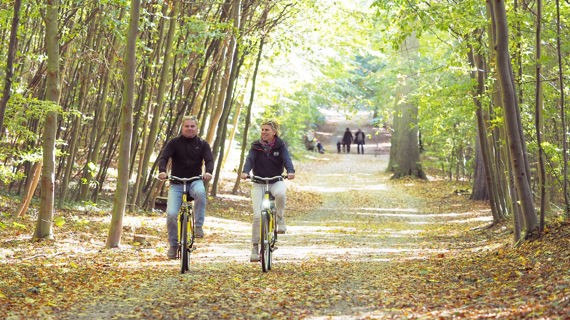 Zwei Personen Radeln auf dem K&uuml;stenradweg in Zempin durch einen Wald mit herbstlichen Bl&auml;ttern.
