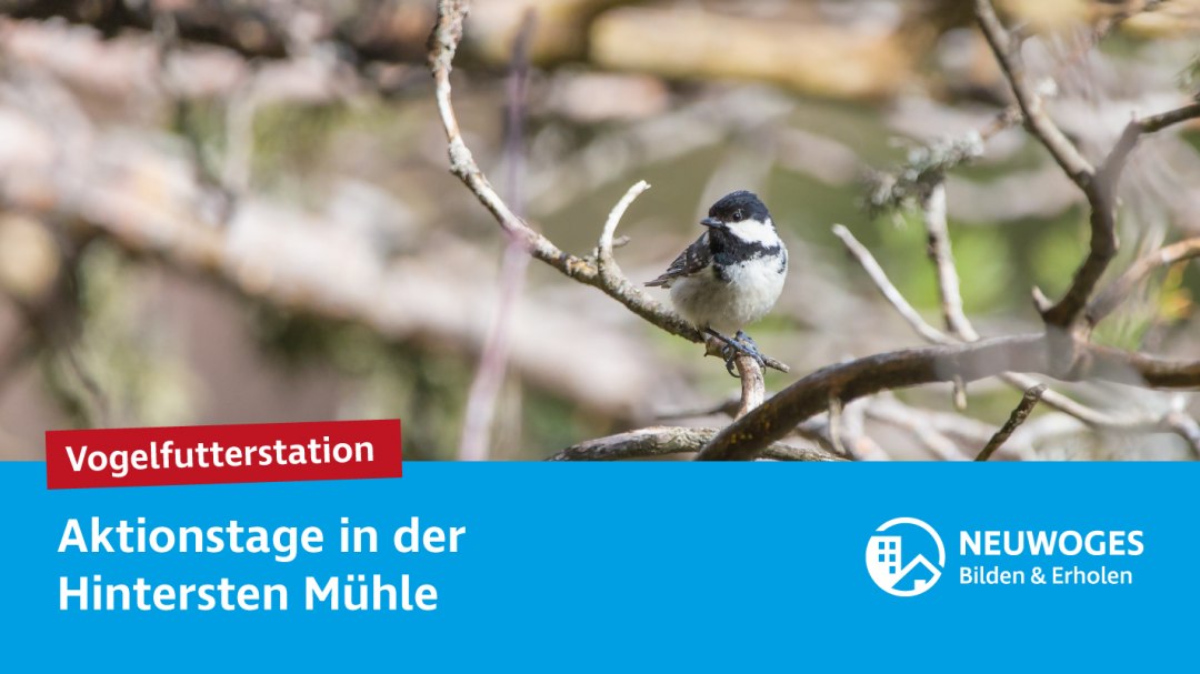 neuw-konzern_externe-komm_tierheim_aktionstage-24-vogelfutterstation, &copy; Neuwoges