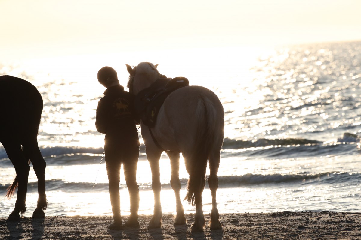 Reiten am Strand, &copy; TMV/ACP Pantel