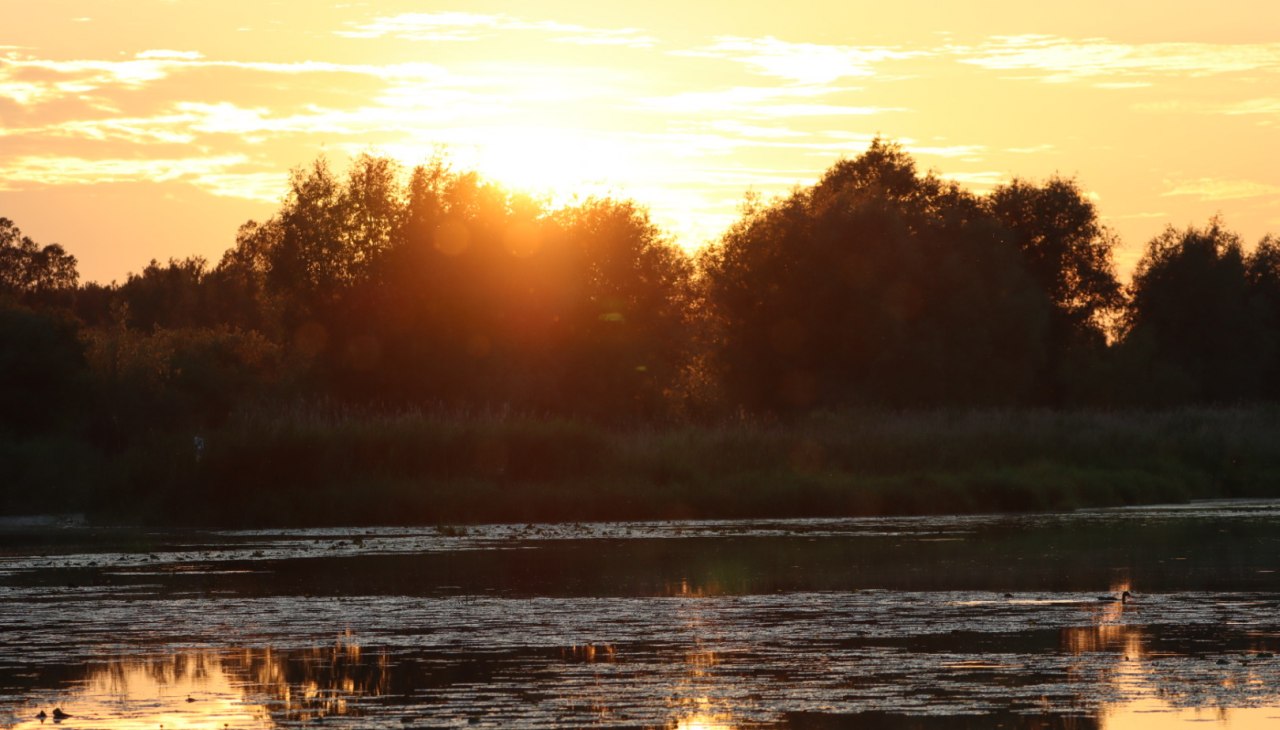 Sonnenuntergang auf der Bibertour, © Corina Posselt Sonnenuntergang auf der Bibertour, © Corina Posselt
