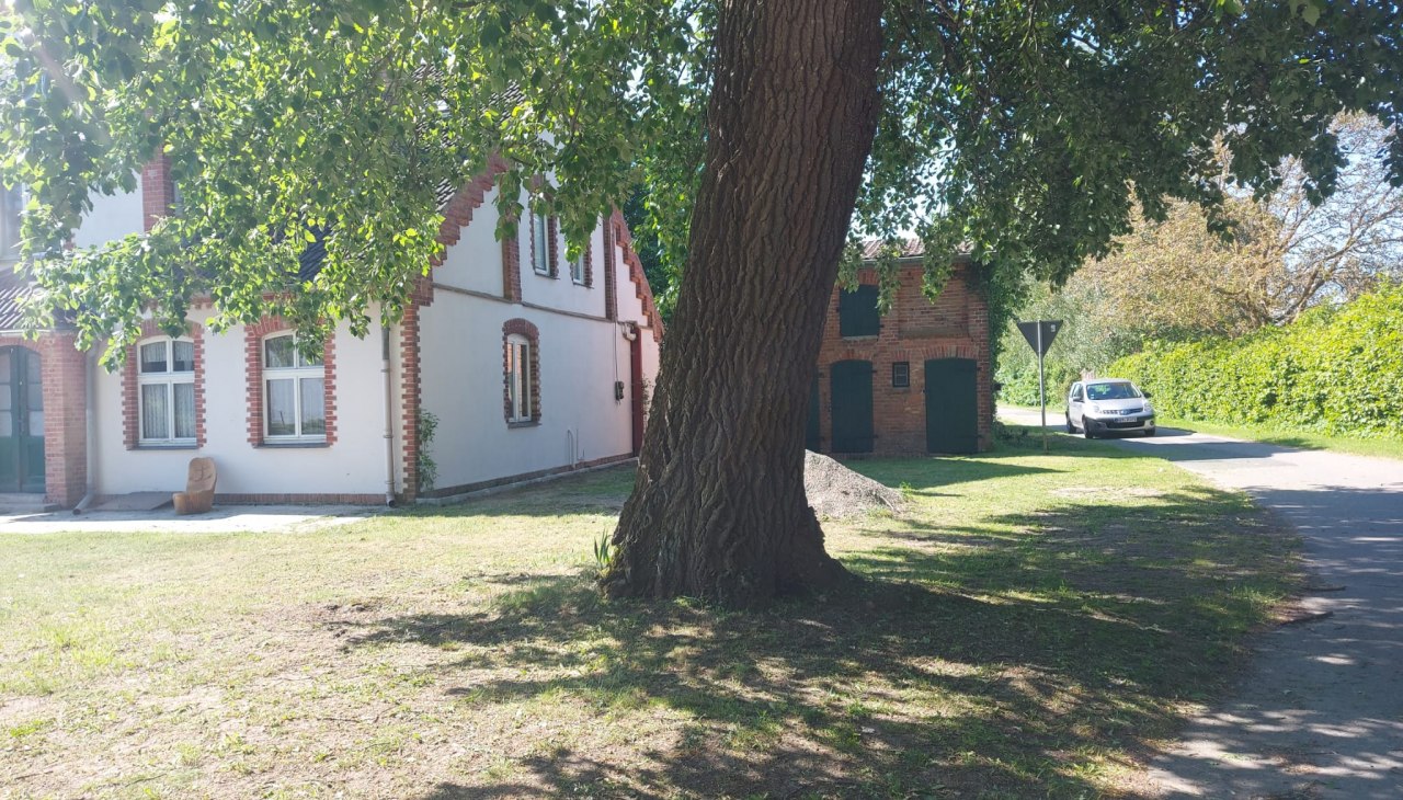 Aussenansicht Ferienhaus Sommer Linden, © Sommer Linden Aussenansicht Ferienhaus Sommer Linden, © Sommer Linden