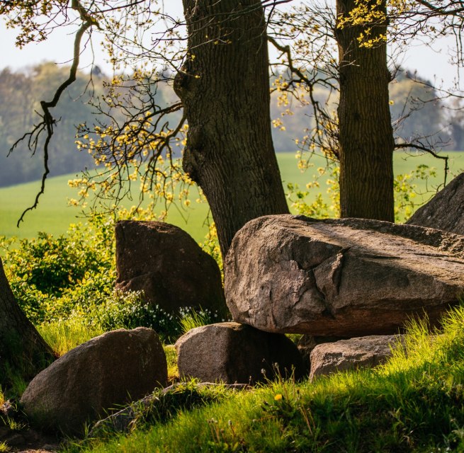 © Binzer Bucht Tourismus © Binzer Bucht Tourismus