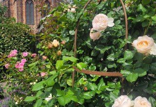 © Hans-Joachim Meusel © Hans-Joachim Meusel