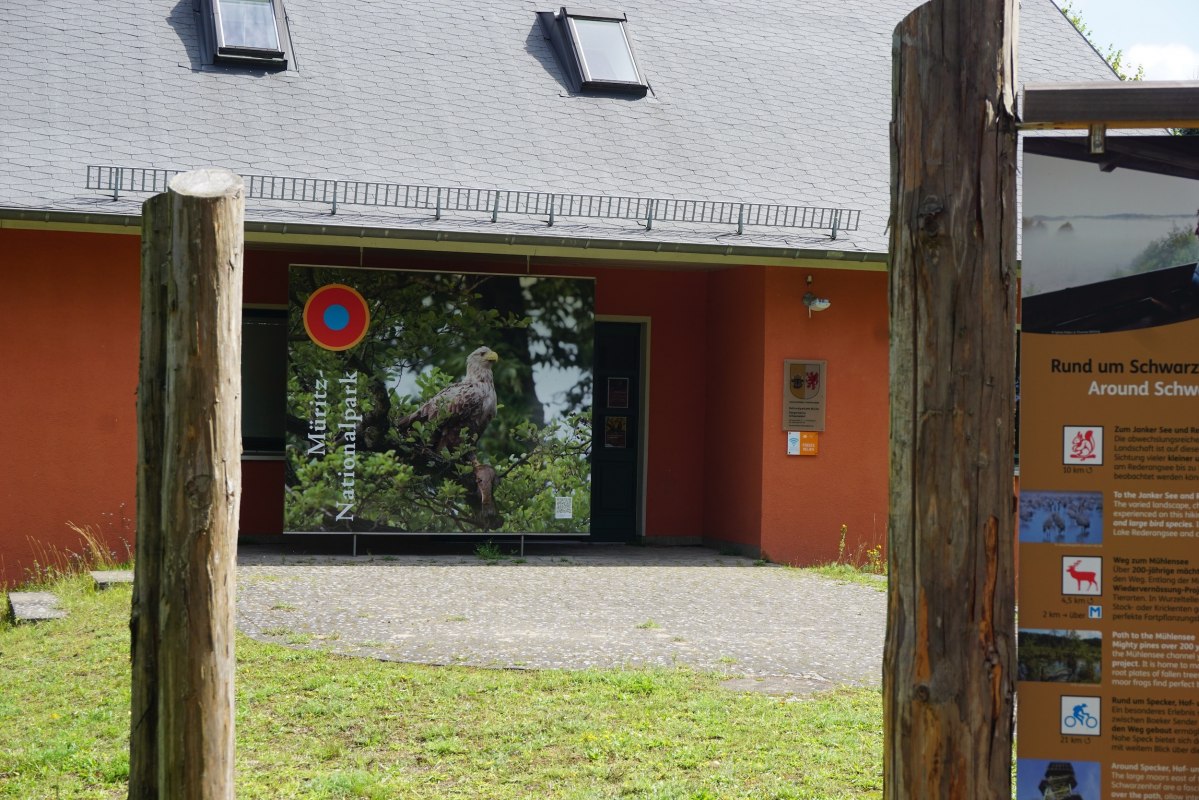 Ausstellung zu V&ouml;geln und ihren Federn // &copy; Wiebke D&ouml;bbert