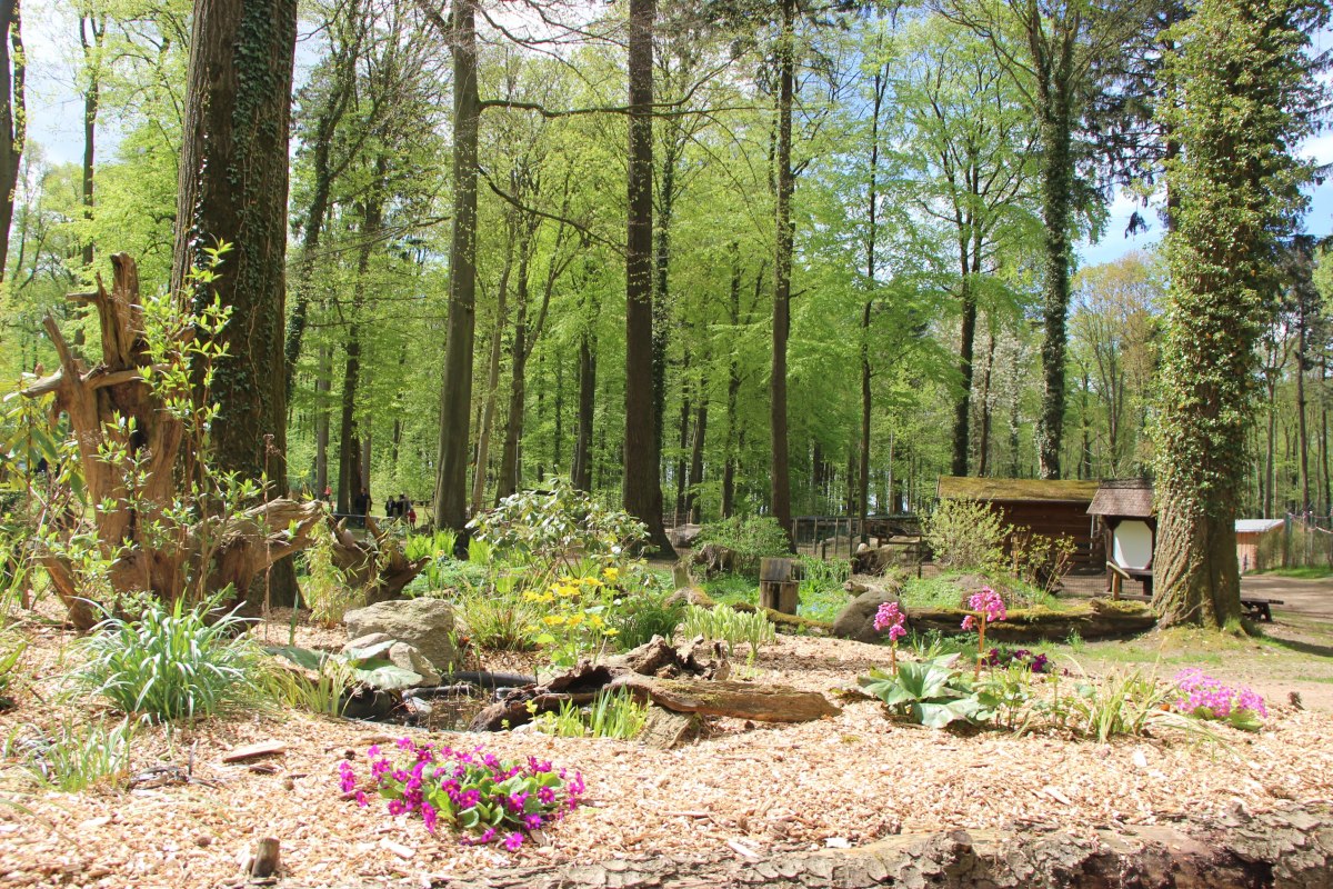 &copy; Tierpark Wolgast