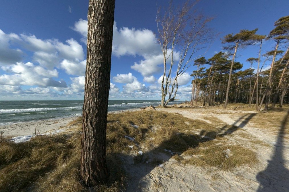 Weststrand, © TV FDZ