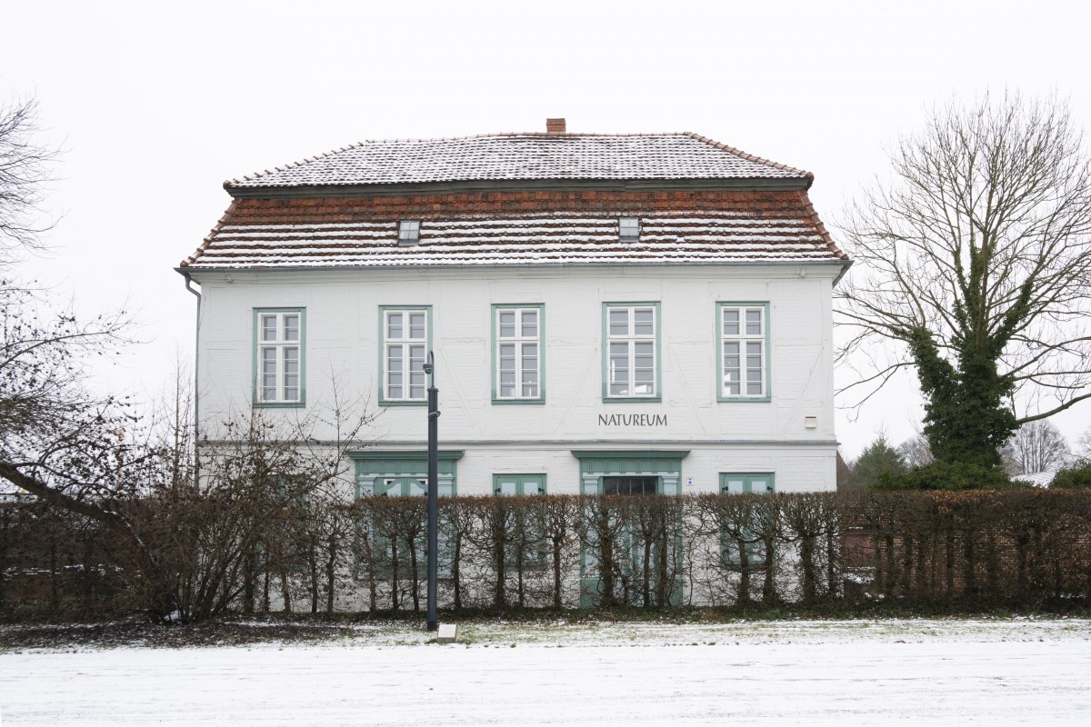 Natureum Ludwigslust // © Stadt Ludwigstlust Natureum Ludwigslust // © Stadt Ludwigstlust