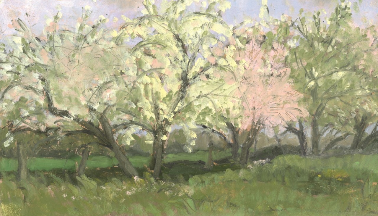 Apfelbluete, © Irene Sohler Apfelbluete, © Irene Sohler