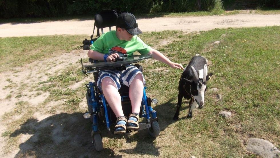 Junge mit Muskeldystrophie Duchenne w&auml;hrend der Freizeitbetreuung durch Birkenzweig e. V. beim Spielen mit Ziegen // &copy; Birkenzweig e. V.